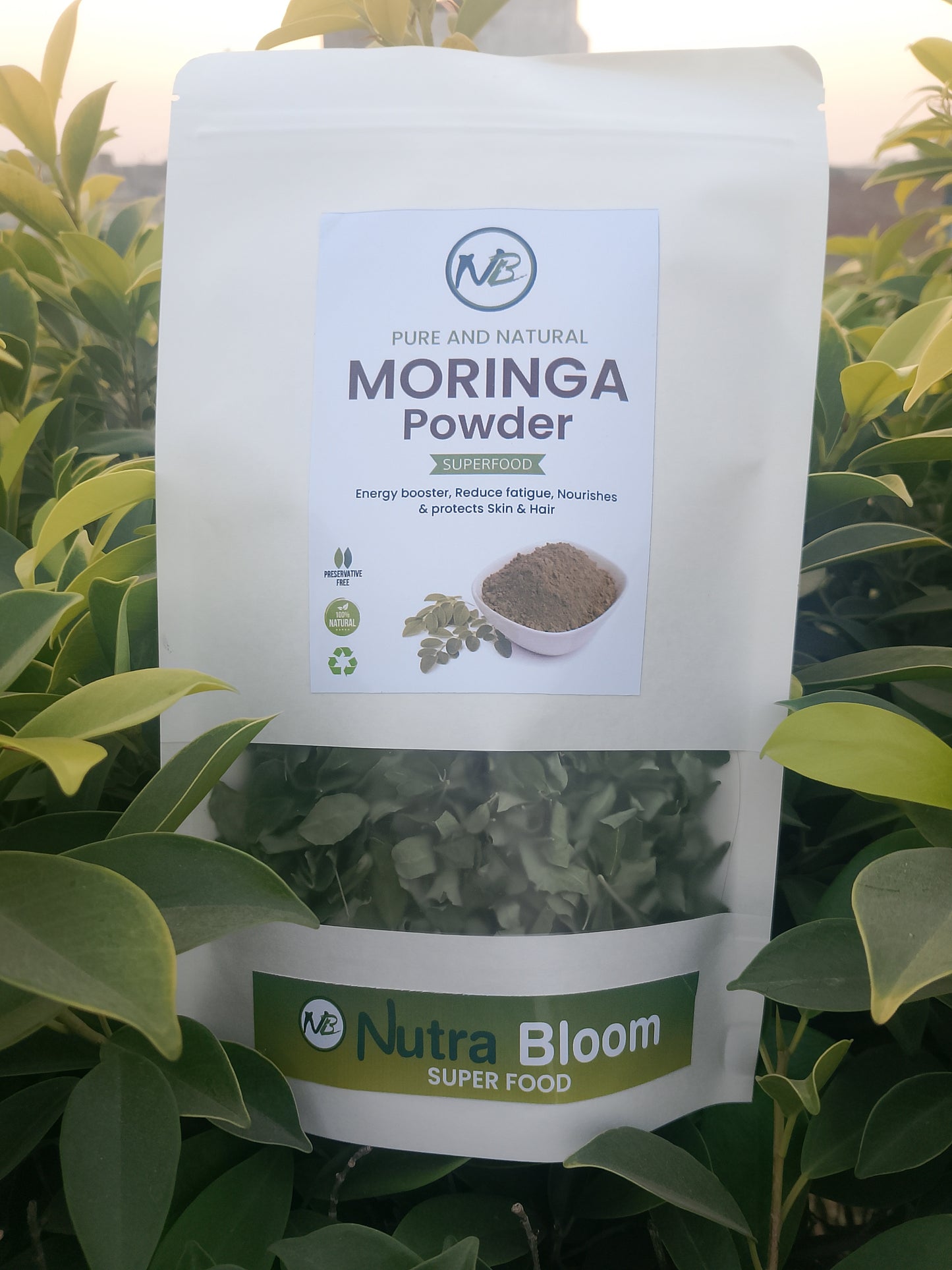Moringa Leaves Powder - Raw, Pure, Natural - Moringa Powder Oleifera