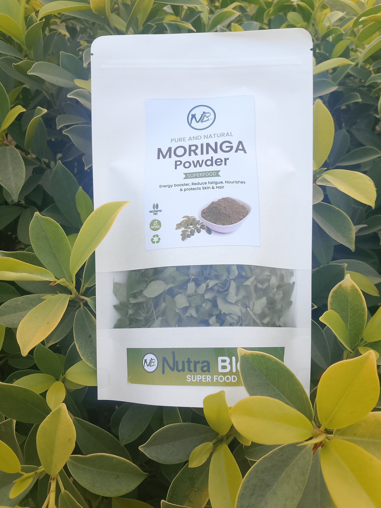 Moringa Leaves Powder - Raw, Pure, Natural - Moringa Powder Oleifera