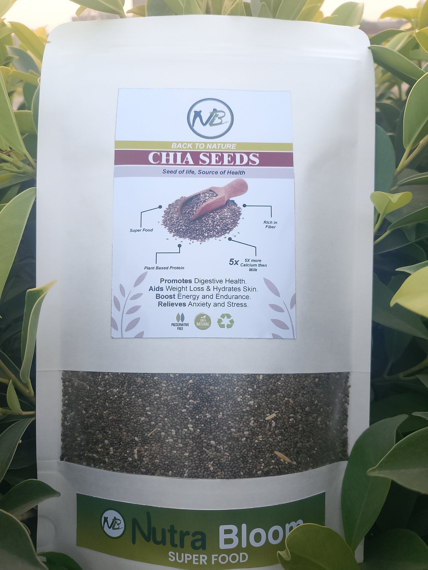 Chia Seeds - Imported from Mexico - Premium Quality