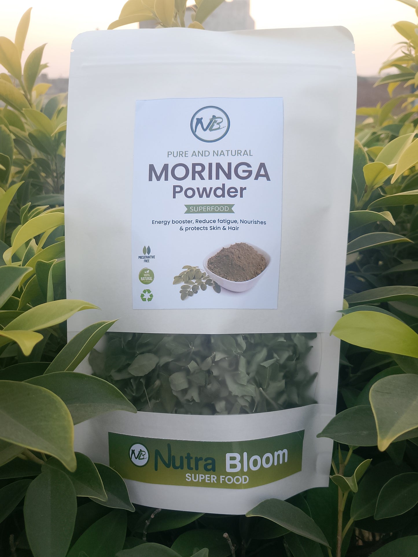 Moringa Leaves Powder - Raw, Pure, Natural - Moringa Powder Oleifera