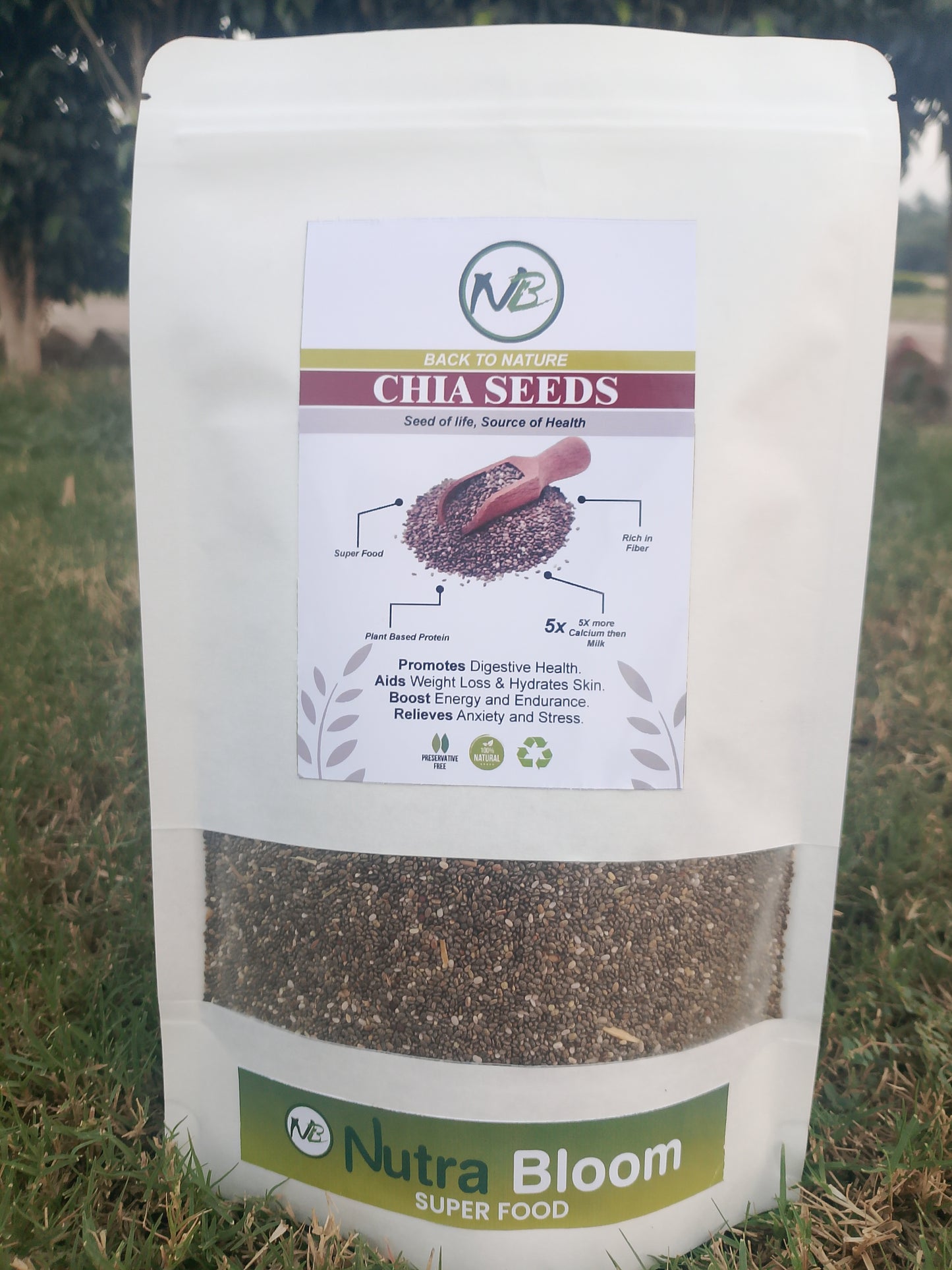 Chia Seeds - Imported from Mexico - Premium Quality